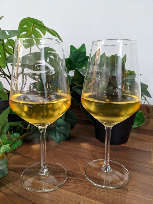 Two wine glasses with Cider in them.