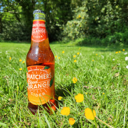 Thatchers blood orange cider standing in a sunny field.