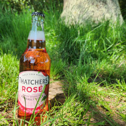 A bottle of Thatchers Rose in a field on a sunny day with a tree in the background.